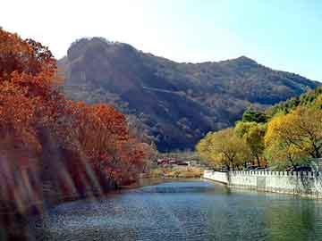 新澳天天开奖资料大全旅游团，黄牛象征什么